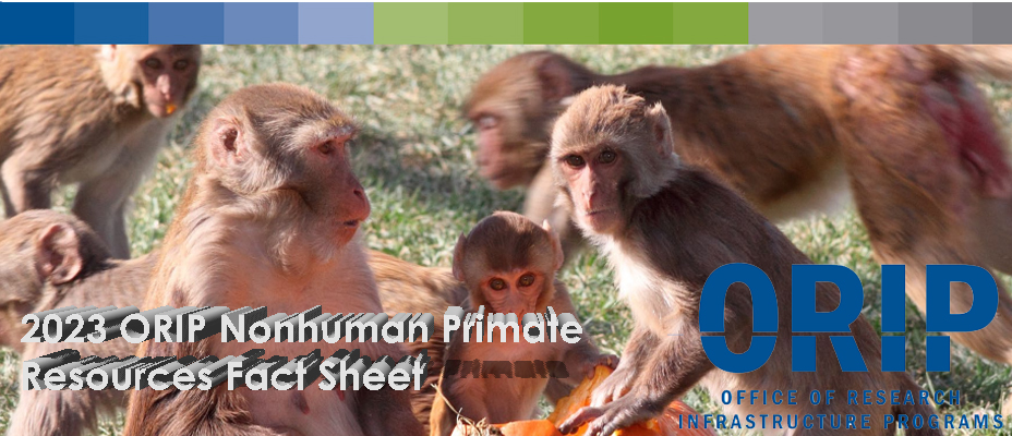 2023 ORIP Nonhuman Primate Resources Fact Sheet