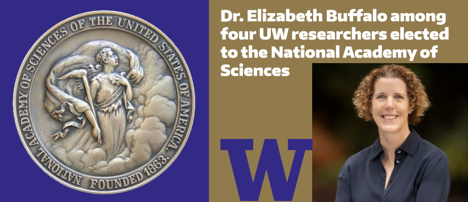 Dr. Elizabeth Buffalo among four UW researchers elected to the National Academy of Sciences